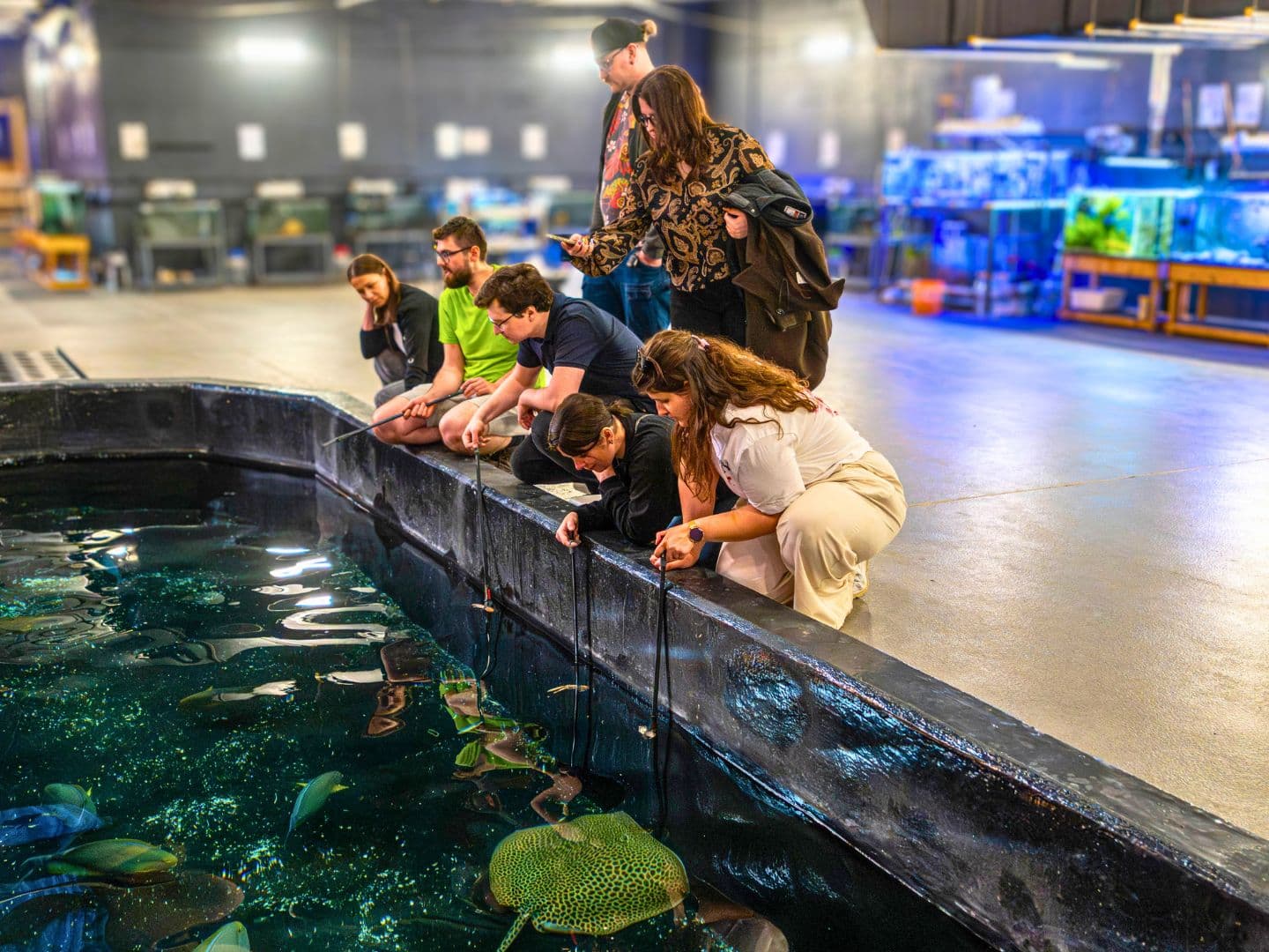 Rekin w zbiorniku oceanarium Orientarium Zoo Łódź