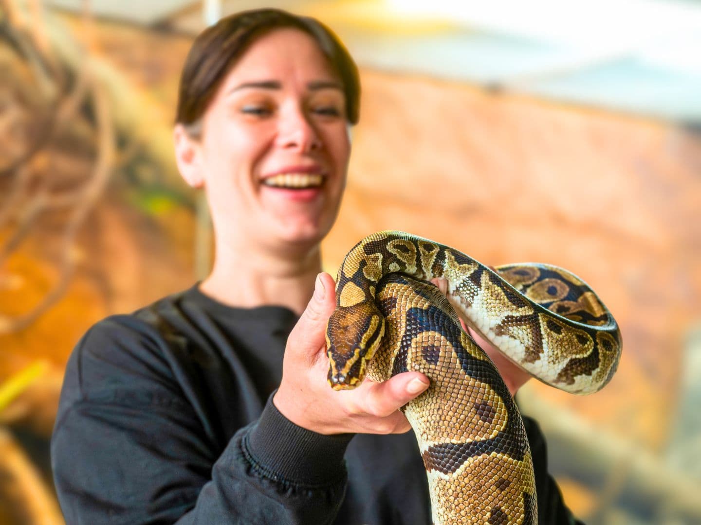 Wąż w wiwarium Orientarium Zoo Łódź